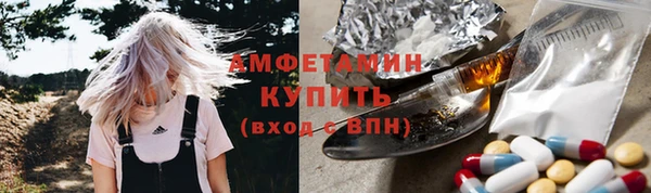 молекула духа Алзамай