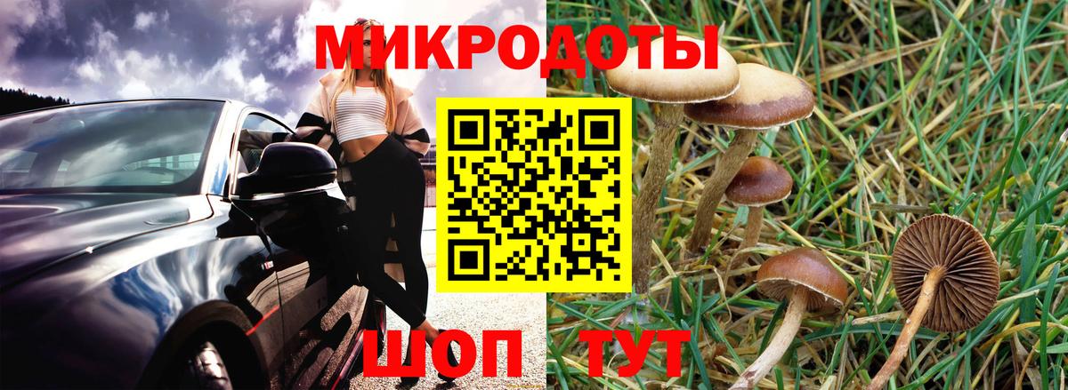 Галлюциногенные грибы Magic Shrooms  Вход с VPN  Шуя 